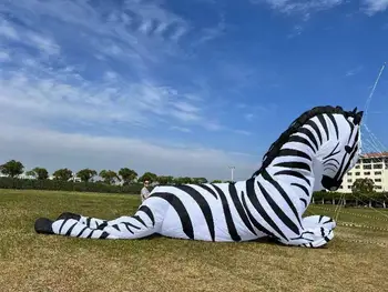 5m zebra Lohe multi-värvi kangas pleisse skate ripats lohe lohed täiskasvanutele väljas mänguasjad Tuul sokk windsock täispuhutav lohe