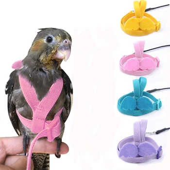 Papagoi, Rakmete ja Rihm Set Reguleeritav Väljas lennuõpe